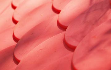 Brayton plastic roof costs