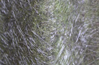 Brayton fibreglass roof work